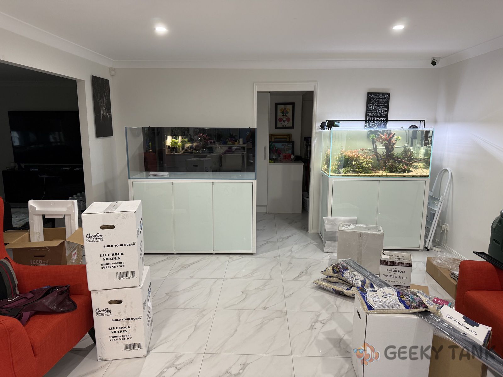 my-first-reef-tank-04.jpg