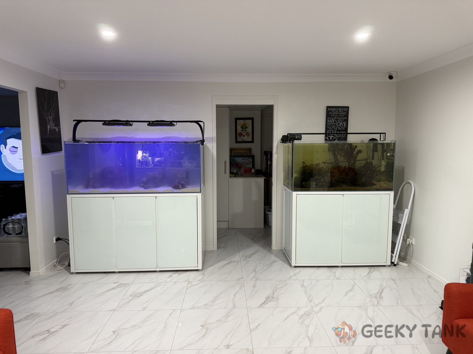 my-first-reef-tank-05.jpg